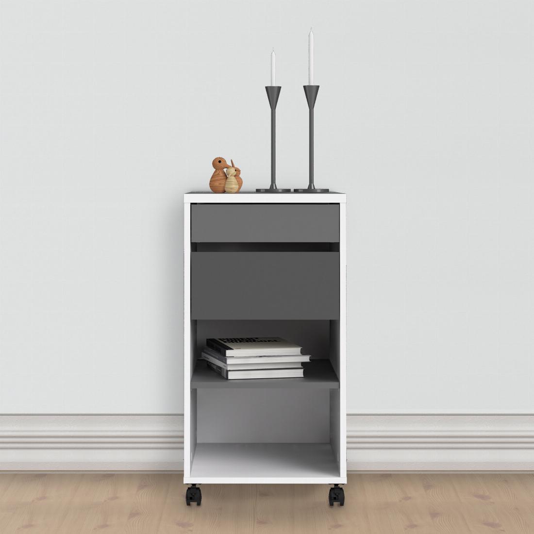 Function Plus Mobile file cabinet 2 drawers + 1 shelf White Grey